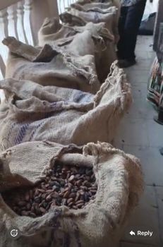 Cocoa Bean – product photo, Fermented Cocoa Beans products found from trusted suppliers, wholesalers, manufacturers & exporters Listing