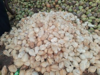 SESAME OIL, COCONU OIL, GROUNDNUT COI. COPRA,COCONUT POWDER - NAAGALAKSHMI ENTERPRISES PRIVATE LIMITED - India
