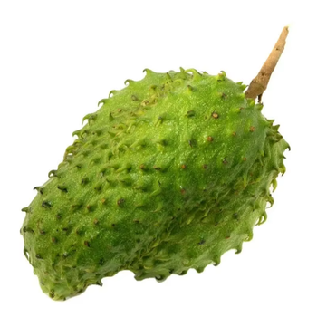 FRESH SOURSOP Weight (kg) 5 Packaging 5kg Place of Origin - PT ADI GROUP JAYA - Indonesia