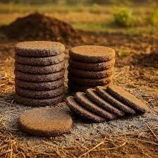 COW DUNG - GauPrakriti Agro Exports - India