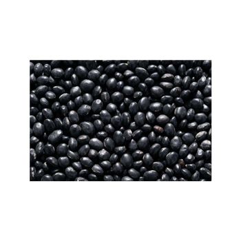 Premium Black Kidney Beans ideal for food processing and cooking industries - HIGHPROFILE AGRICULTURE SERVICES LIMITED - Tanzania