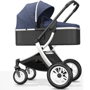 Baby Pram Baby Backpack Carrier Stroller Walkers a Comfortable Stroller Baby Capsule and Pram - HEBEI GREENSKY INDUSTRY GROUP CO., LTD - China