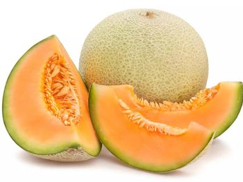 Musk Melon (Cantaloupe) – Premium Quality from India - AGROCARTE EXIM ENTERPRISES PVT LTD - India