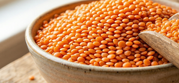 Red Lentils Organic Yes Origin India Purity 99.9% Color Vibrant Texture Creamy Degree of Processing Dried Cooking Time 15-20 Minutes - Kashyap Food Products - India