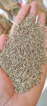 Singapore 99 Cumin seeds Delivery Form Bag - JVT COCONUTS straw - India