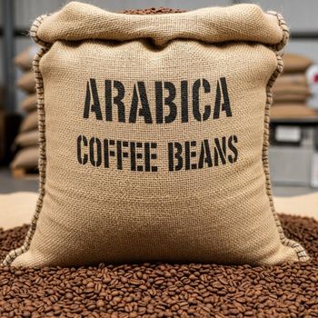 Selected Washed Coffee Supply With Arabica Green Coffee Beans Offering Fresh Harvest Quality In Bulk from malter group Selected Washed Coffee Supply With Arabica Green Coffee Beans Offering Fresh Harvest Quality In Bulk - malter group - Tanzania