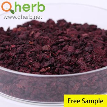 25% Anthocyanins Bilberry Extract Organic Bilberry Juice Powder for Health - Xuancheng Quality Herb Co., Ltd. - China