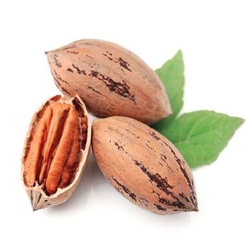 Premium Pecans Nuts Whole Pecan Kernels Fresh Crunchy Texture Rich In Healthy Fats And Fiber Ideal For Baking Cooking And Food Processing Industry Buy Now Fast Delivery Premium Quality Wholesale - wood traders - Poland