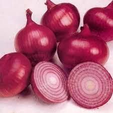 Fresh Onion Wholesale - AgronoMarket - United States