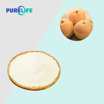 Purelife Snow Pear Powder 99% OffWhite Powder MOQ1kg 1kg/Bag 25Kg/Drum - Purelife Biotech Co., Ltd. - China