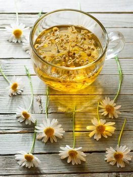 Dried Chamomile from ALBA GRUPS Ltd. Dried Chamomile - ALBA GRUPS Ltd. - Bulgaria