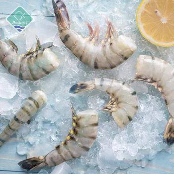 FROZEN RAW HLSO - EZP BLACK TIGER SHRIMP, 25%GLAZE, 75%NW  Packing : IQF, 0.75kg * 10/ctn. 75% NW. Frozen count, Frozen - BLUE BAY SEAFOOD CO.,LTD - Vietnam