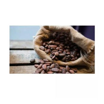 Cocoa beans rich in antioxidants and natural nutrients Export quality cocoa beans packed in durable bags for safe transport Cocoa beans for making dark chocolate milk chocolate and desserts Fine cocoa beans with consistent size and premium grading - SATTER FOOD AND BEVERAGE - Netherlands