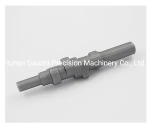Customize Forging Factory Manufacturer Hot Forged Forging of Different Size Camshaft/Hardware/Flange/Iron Core/Valve/Core Metal/Spare Parts/Auto Parts/Blanks - Hunan Gaozhi Precision Machinery Co., Ltd. - China