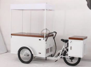 3 Wheel Ice Cream Freezer Trike Ice Cream Vending Bike with Refrigerator Summer Food Tricycle for Sale Cold Drinks - ZHENGZHOU REALLY IMP. & EXP. CO., LTD. - China