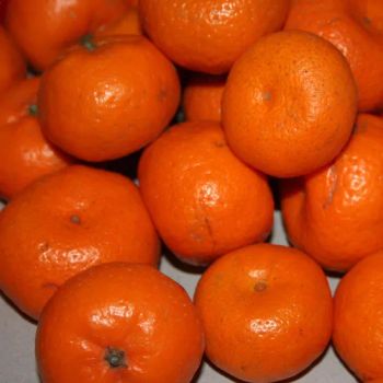 Fresh Sweet Clementine Mandarins in 5kg Carton Box Packaging Taste Sweet Type Orange Style Whole Origin China Brand - Jiangsu E. Funs Import & Export Co., Ltd. - China