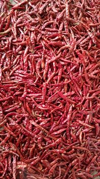 Dried red chili - Gktraders - India