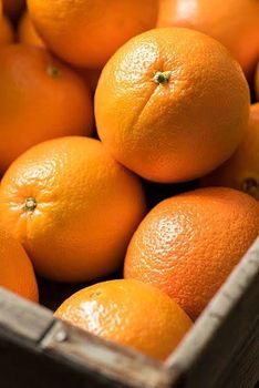 South African Navel Oranges – Fresh Citrus (Class 1 / Export Grade) from The Docking Bay South African Navel Oranges – Fresh Citrus (Class 1 / Export Grade) - The Docking Bay - South Africa