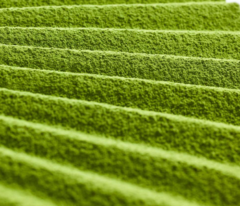 Matcha from Hikari Matcha - Hikari - Global