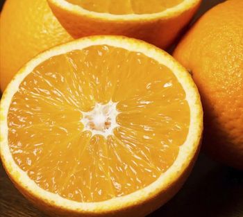 Fresh Sweet Navel Oranges Seedless class 1 exporty quality! New crops 100% organic - NINE FRUITS EXPORTS (PTY) LTD - South Africa