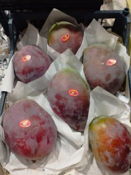Mango from AL-SEDIK FOR FRUITS AND VEGETABLE EXPORT AND TRADING Mango - AL-SEDIK FOR FRUITS AND VEGETABLE EXPORT AND TRADING - Egypt