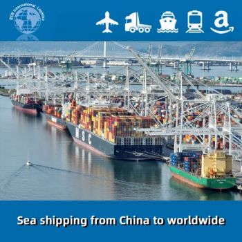 International Sea Air Shipping Agent From China to Guinea Freight Door to Door with Customs Tax Duty - Shenzhen Best Service(BSW) International Logistics Co., LTD - China