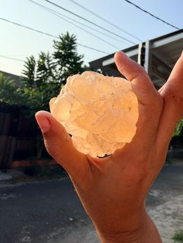 Gum Damar Indonesia - PT Vena Loka Cakrawala - Indonesia
