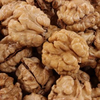 Premium Factory Wholesale Walnut With Shell and Without Shell Bulk Dried Walnut Available for Sale - VERTEX TRADING LIMITED - United Kingdom