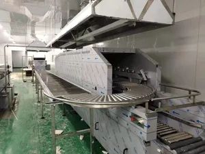 Power Roller Conveyor System for Efficient Warehouse Operations - Suzhou Daoda Automation Equipment Co., Ltd. - China