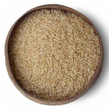 Healthy Brown Rice Selection with Nutty Flavor and Superior Grain Quality for Everyday Balanced Eating from TRADECENTRIC LLC Healthy Brown Rice Selection with Nutty Flavor and Superior Grain Quality for Everyday Balanced Eating - TRADECENTRIC LLC - United States