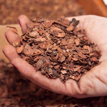 Cocoa Shell – Nigerian Origin - LARRY-SENATE MULTI VENTURES - Nigeria