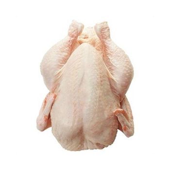 Frozen Whole Halal Chicken And Chicken Parts From Brazil Frozen Chicken Leg Quarters For Sale from Brazil  Whole Halal Frozen Chicken Top Selling Premium Grade High Quality Low Price Fresh Poultry Whole Frozen Chicken Meat From Brazil  Halal Frozen Fresh Chicken From Brazil Quality Frozen Whole Halal Chicken And Chicken Parts From Brazil - GLOBOTO TRADE BRASIL LTDA - Brazil