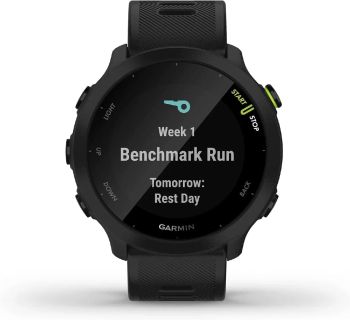 Garmins Forerunner 55 - TERRAMINER GROUP,INC - United States