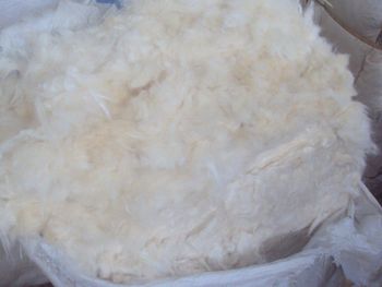 Superfine Quality Kapok Fiber - CV. Priskilla - Indonesia