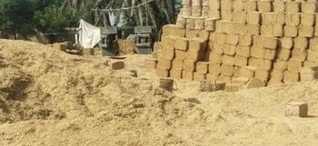 wheat straw Bale Weight 16-30 Kg Energy Level Moderate Protein Level 6% To 8% Moisture Content Below 5% Packaging compressed bale - starlandenterprises(PVT)LTD. - Pakistan