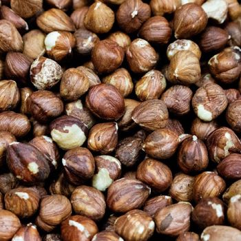 Carefully Selected Hazelnuts Wholesale Lot Fresh Origin Hazelnuts For Import Markets Reliable Bulk Supply Chain - AGRO AFRIQUE COMPANY LIMITED - Tanzania