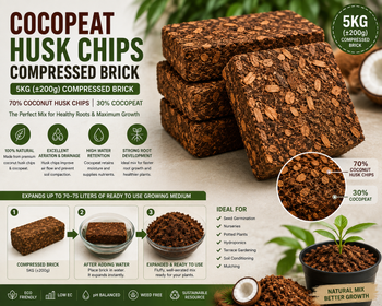 Coco peat and betel - D.I GREENS LANKA TRADES PVT LTD - Sri Lanka