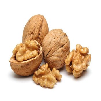 Walnut Best Price Common Walnut Nuts Top Class Walnut Kernels Dried Style Raw Waln AT Best Supplier Good Packaging Food - GOLD COMERCIO E SERVICOS EIRELI - Brazil