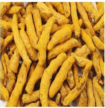 Turmeric Finger, turmeric slices, podwer from Tripur Sundari Global Exports Turmeric Finger, turmeric slices, podwer - Tripur Sundari Global Exports - India