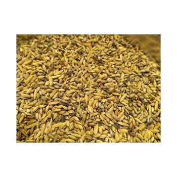 Wholesale canary seeds in bulk packaging for sale worldwide - MASI TRADING GMBH - Germany