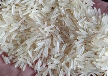 Pakistan 1121  Premium Long Grain White Sella Rice - Double Polished price: $1195 - Pakistan Rice Mill - Pakistan