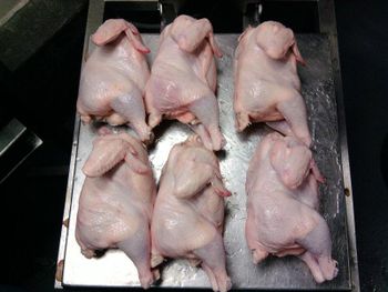 Wholesale Brazilian Frozen Chicken