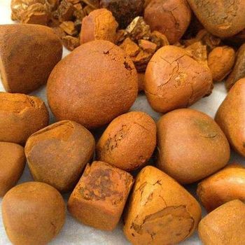 Pure Ox Gallstone Premium Cow Gallstones High Purity Stones Affordable Bulk Wholesale Options - A.C.P. AGRICULTURE COMPANY LIMITED - Thailand