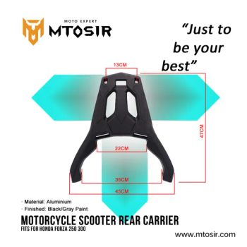 Forza 250 300 Motorcycle Scooter Rear Carrier Motorcycle Accessories - Hangzhou Riji Technology Co., Ltd. - China