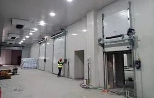 Sectional Garage Doors with Galvanized Steel for Strength and Durability - Wuxi Icare Door Industry Co., Ltd. - China