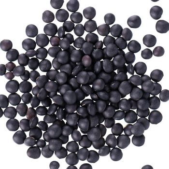 Black Lentils For Food Ingredient Supply Featuring Superior Cleaning Process And Consistent Grain Selection - TOSOH INTERNATIONAL - South Africa