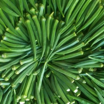 Hyb Okra Yield High Grade Hybrid Packaging HDPE Variety Aishwarya Keeping Quality Good Climate Tolerance Good Fruit Quality Excellent - Greenfield Agriclinic and Agribusiness centre  - India