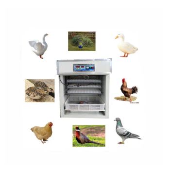 High Efficiency Commerce Pheasant Budgie Goose Chick Egg Incubator for Sale - Zhengzhou Xiangkun Machinery Co., Ltd. - China