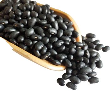 Black Kidney Beans Fresh Organic High Quality Newest Crop Sale Fast Delivery Wholesale Supplier Best Price Stock Reasonable from Carla Pisselli Commercio Black Kidney Beans Fresh Organic High Quality Newest Crop Sale Fast Delivery Wholesale Supplier Best Price Stock Reasonable - Carla Pisselli Commercio - Brazil