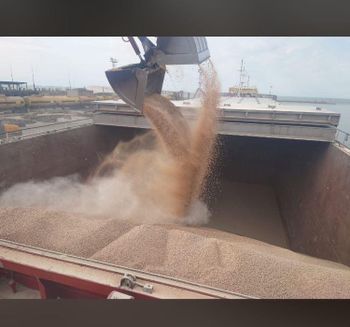 Wheat bran - Atlant LLC  - Russian Federation